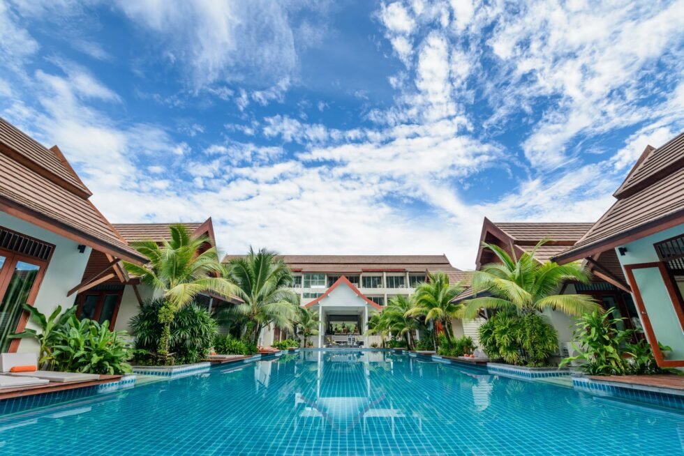 A large swimming pool with palm trees in the background.